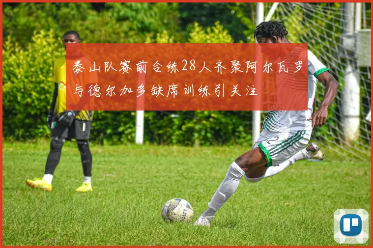泰山队赛前合练28人齐聚阿尔瓦罗与德尔加多缺席训练引关注
